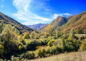 cosa-vedere-nel-parco-nazionale-d'abruzzo