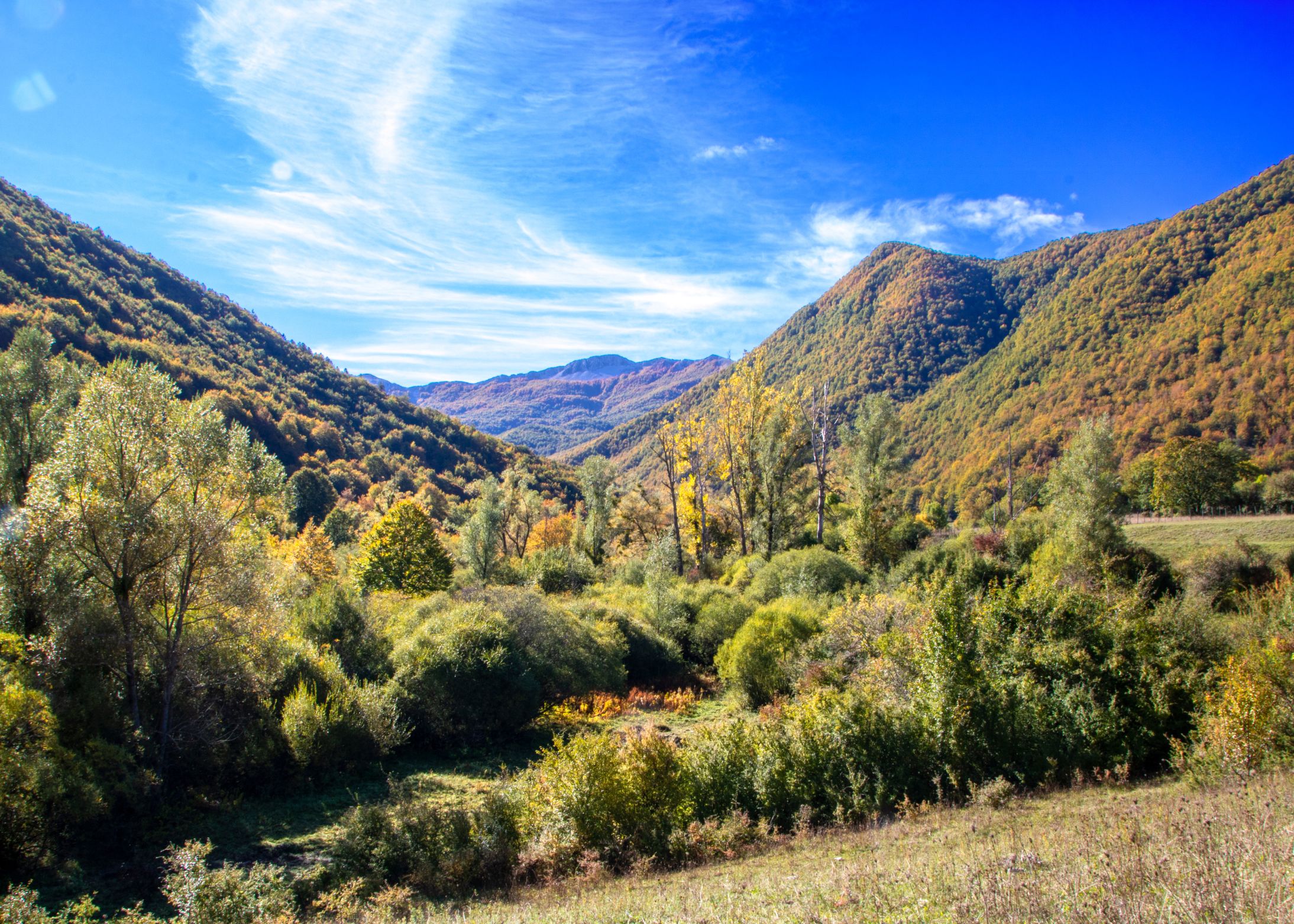 cosa-vedere-nel-parco-nazionale-d'abruzzo